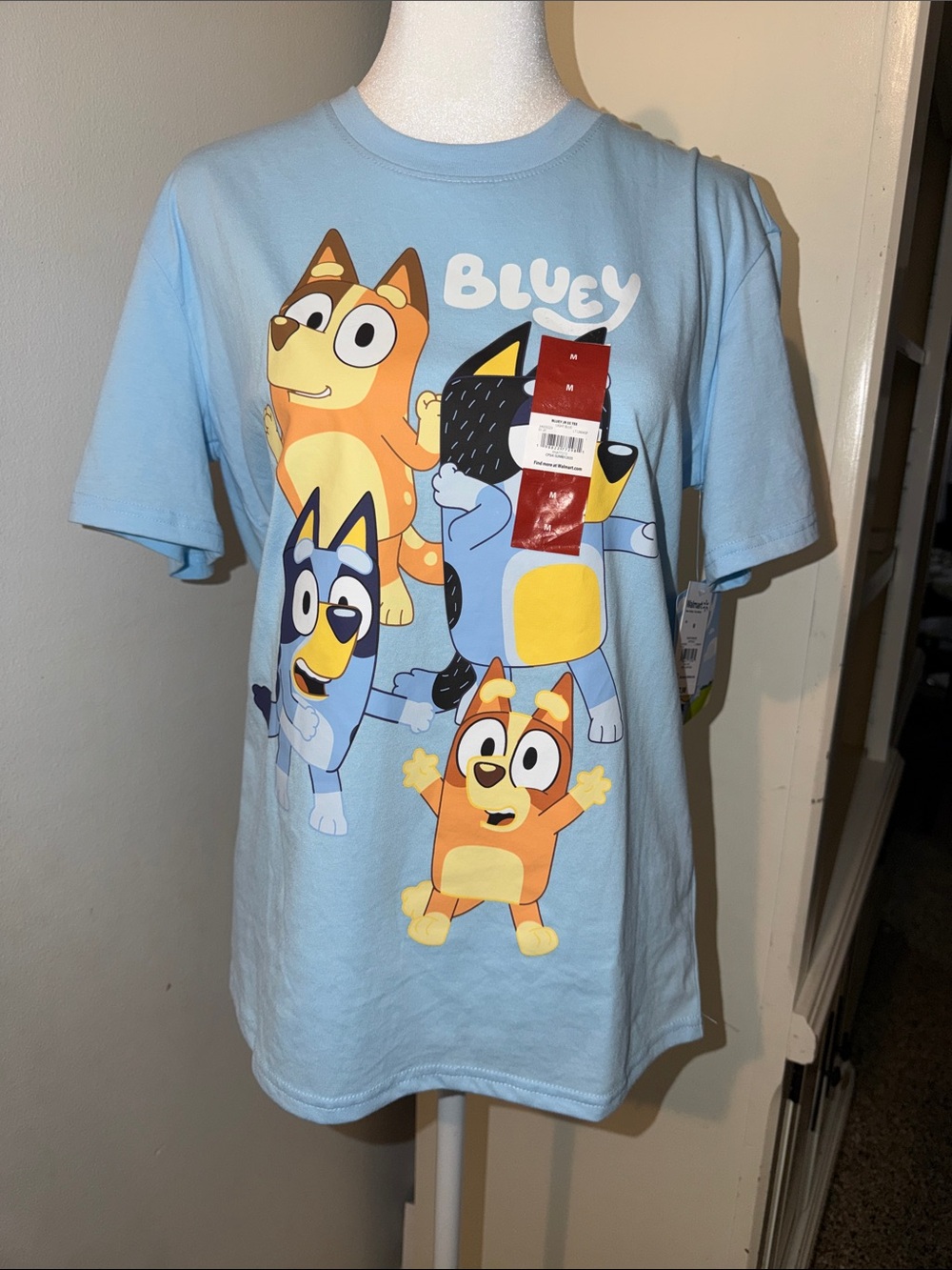Bluey Short Sleeve Graphic Tee for Kids - Light Blue